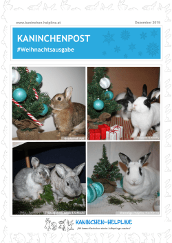 Kaninchen-Weihnachtspost 2015