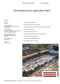 Hochwasserschutz Lipprandiser Bach