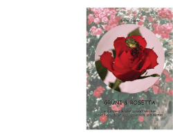 gr&uuml;ni & rosetta