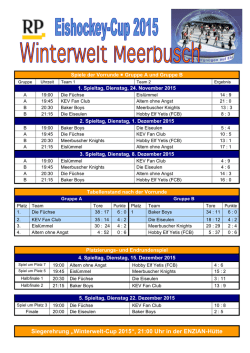 Eishockey-Turnier 2015