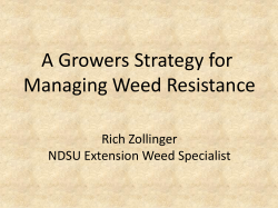 A Growers Strategy for Managing Weed Resistance
