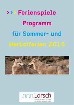 Programm Ferienspiele 2015