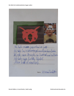 Die Welt mit mathematischen Augen sehen Nicole Wallner