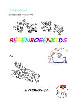 JS-Programm-bis-2016
