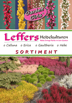 Calluna lizenz Sorten