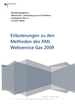 Erläuterungen zu den Methoden des XML Webservice Gas 2009
