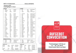 rufcebot - Swiss Ice Hockey