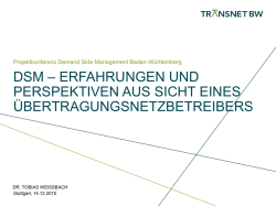 dsm &ndash; erfahrungen und perspektiven aus sicht - Baden