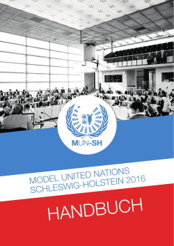 Handbuch - Deutsche Model United Nations eV