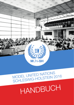 Handbuch - Deutsche Model United Nations eV