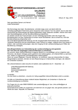 Bürgerinitiative als pdf