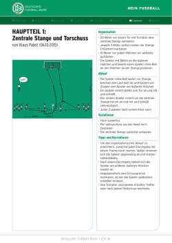 HAUPTTEIL 1: Zentrale Stange und Torschuss
