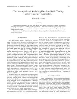 Two new species of Aeolothripidae from Baltic