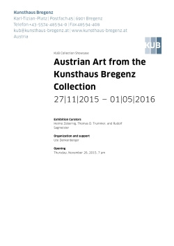 Austrian Art from the Kunsthaus Bregenz Collection