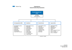 Organigramm Soziale Dienste Asyl