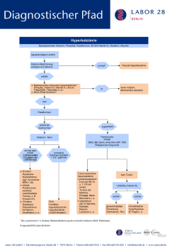 Diagnostischer Pfad