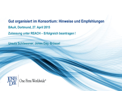 Gut organisiert im Konsortium: Hinweise und Empfehlungen (PDF