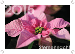 RZ EINLADUNGSKARTE_STERNENNACHT-2015
