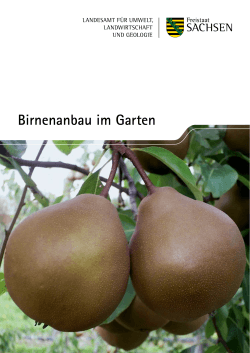 Birnenanbau im Garten - Publikationen