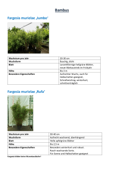 Pflanzensortiment - Marchfeldpflanzen