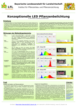 Poster: Konzeptionelle LED Pflanzenbelichtung (deutsche Version)