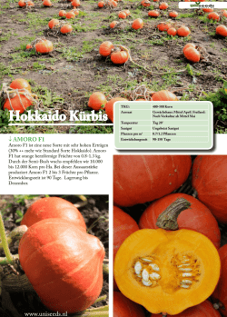 Hokkaido K&uuml;rbisse