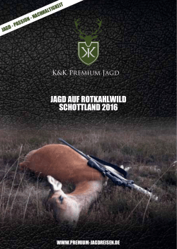 Kahlwild Schottland - Jagdreisen - K&K