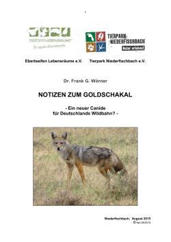 notizen zum goldschakal - Tierpark Niederfischbach