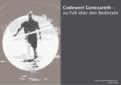 Codewort Genezareth - zu Fuß über den Bodensee