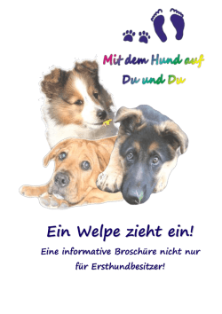Ein Welpe zieht ein