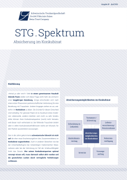 STG.Spektrum 04