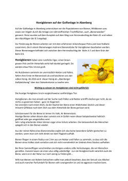 Honigbienen auf der Golfanlage in Abenberg