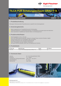 Technisches Datenblatt Schalungsschaum-GRAU - EF-Shop