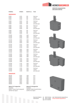 DATENBLATT Fontgewichte / Heckgewichte (PDF