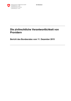 Die zivilrechtliche Verantwortlichkeit von Providern