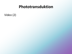 Phototransduktion