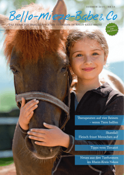 Internet_NE-2015-1_sicher