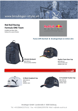 Red Bull Racing Formula ONE Team