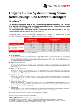 Netzentgelt NE7 - Salzburg Netz GmbH