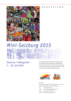 Konzept Mini-Salzburg 2015