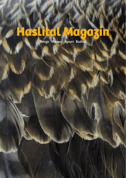 Haslital Magazin
