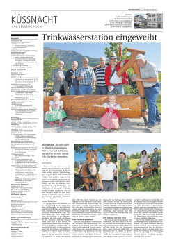Zeitungsbericht Bote der Urschweiz vom 30. Mai 2015