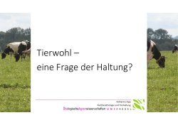 Haltung [Schreibgeschützt]