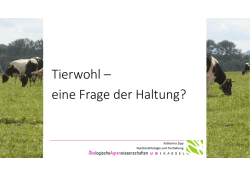 Haltung [Schreibgesch&uuml;tzt]