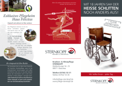 HEiSSE ScHliTTEN - Sternkopf - Kranken