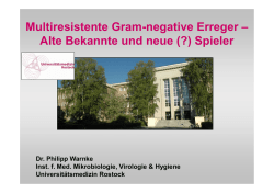 Multiresistente Gram-negative Erreger – Alte Bekannte und