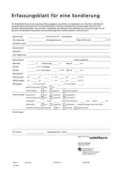 Erfassungsblatt für eine Sondierung