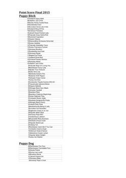 GSDL Point Score Final Results for 2014