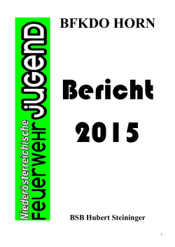 Jahresbericht 2015 des Bezikes Horn
