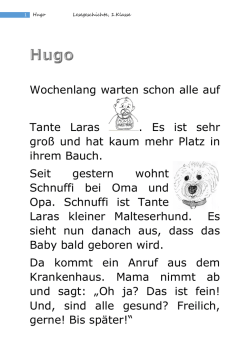 Hugo Lesegeschichte, 1.Klasse